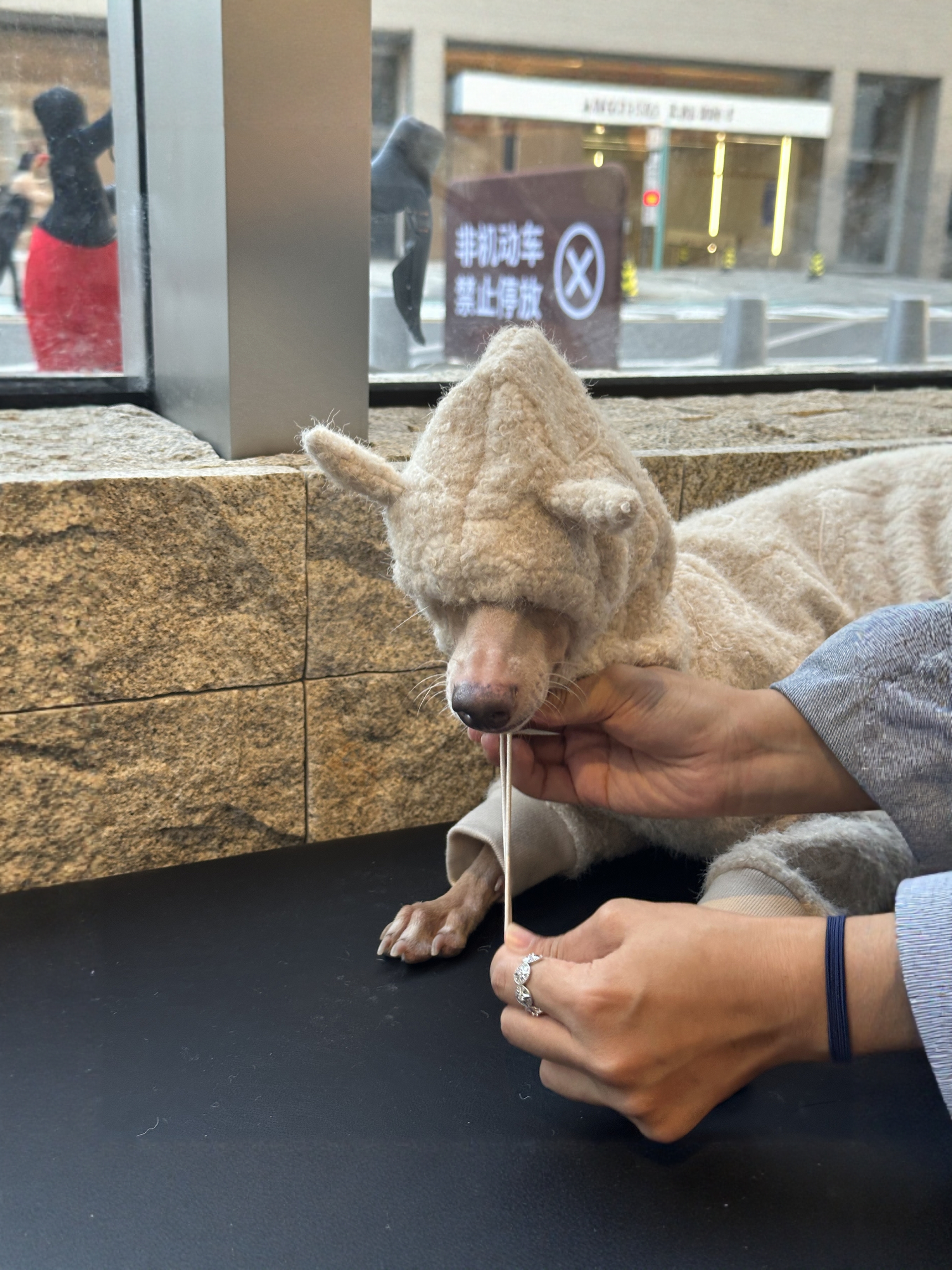 【暖心小恶魔】秋冬绒里四脚衣卫衣恶魔角肌理感原创设计小灵缇惠