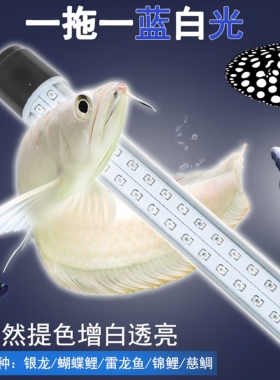 蓝白混合光银龙雷龙三湖慈鲷蝴蝶鲤专用观赏超白光鱼缸灯led防水