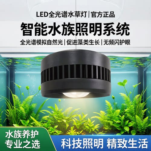 全光谱爆藻增艳筒灯龙门架