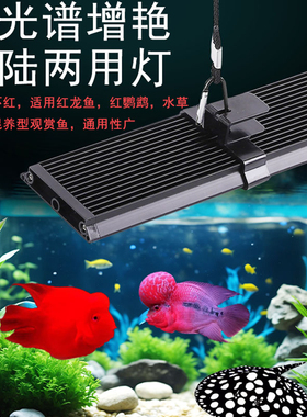 全光谱增艳三基色红龙发色鹦鹉锦鲤水草水族箱爆藻水陆两用鱼缸灯