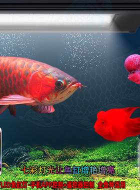 2米鱼缸遥控七彩RGB变色手机蓝牙金红龙鱼定时专用灯水族防水造景