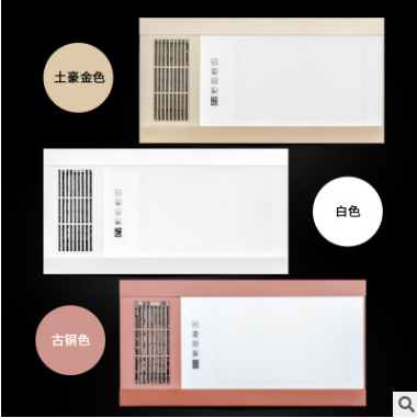 超薄新款集成吊顶浴霸多功能卫生间取暖器双核动力风暖浴霸