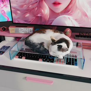 笔记本电脑电竞键盘防护罩高透亚克力工作防打扰防尘宠物触碰防猫