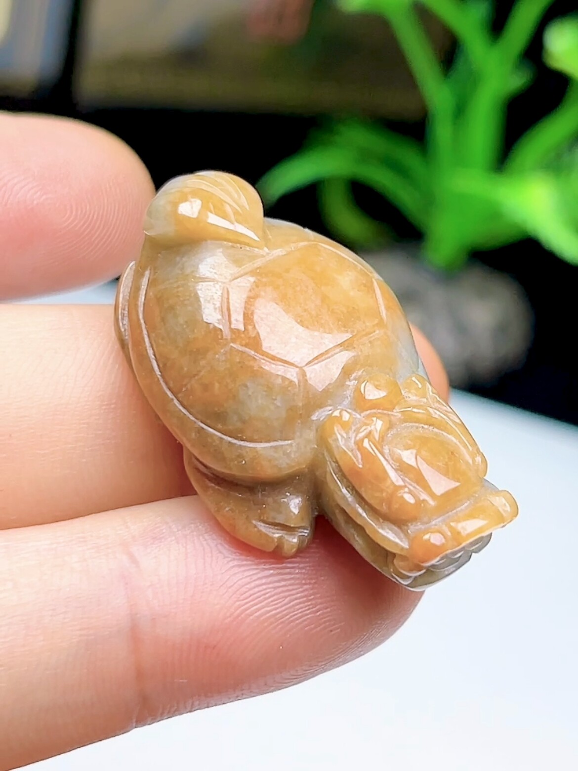 保真a货翡翠龙龟吊坠 缅甸天然玉石油青红翡龙头龟挂件福寿龟玉坠