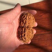 44mm逐鹿南疆石狮子头文玩把件精选老树压手打底白茬45mm大送礼