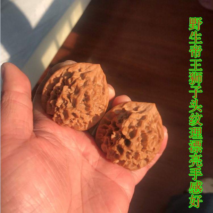 48mm野生帝王狮子头文玩把件麻核桃精选老树粗筋深纹圆润官帽小众