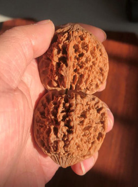 45mm经典野生百花山满天星狮子头文玩把件精选老树刺扎手47mm大送