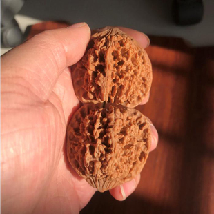 45mm经典野生百花山满天星狮子头文玩把件精选老树刺扎手47mm大送