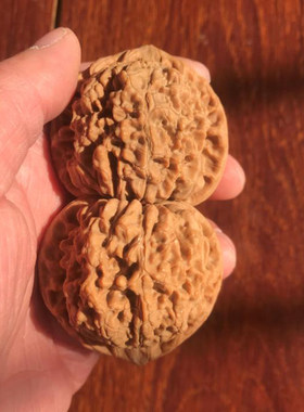 52mm龙鼎纹官帽一物一图麻核桃文玩把件老树圆润自然矮桩大肚麒麟