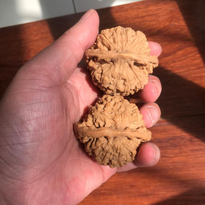 57mm矮桩大肚麻核桃官帽文玩把件粗筋55mm精选老树狮子头圆润送礼