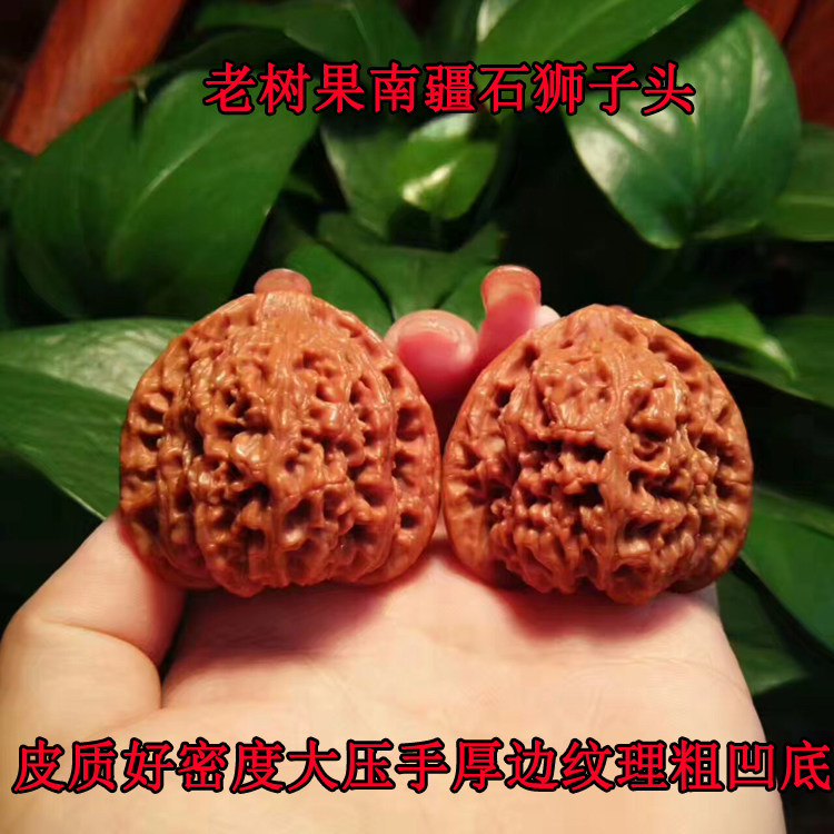 42mm精选逐鹿南疆石狮子头文玩把件麻核桃坚硬平凹地型正矮桩大肚