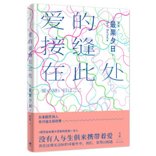 当当网 爱的接缝在此处 最果夕日 匡匡 译 上海人民出版社 正版书籍