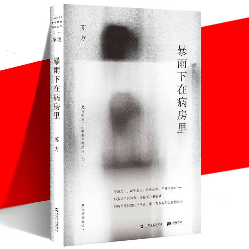 暴雨下在病房里（单读015）单读系列苏方短篇小说集收录上海文艺出版社现当代文学 另著一些时刻 异乡记 畅销书籍上海文艺出版社
