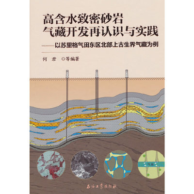 高含水致密砂岩气藏开发再认识与实践.以苏里格气田东区北部上古生界气藏为例