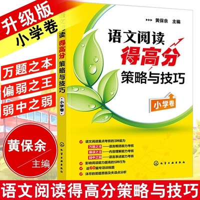 语文阅读得高分策略与技巧 小学卷 黄保余语文阅读专项辅导训练 3-4-5-6年级小学阅读高分技巧参考书 小学教辅语文阅读理解练习册