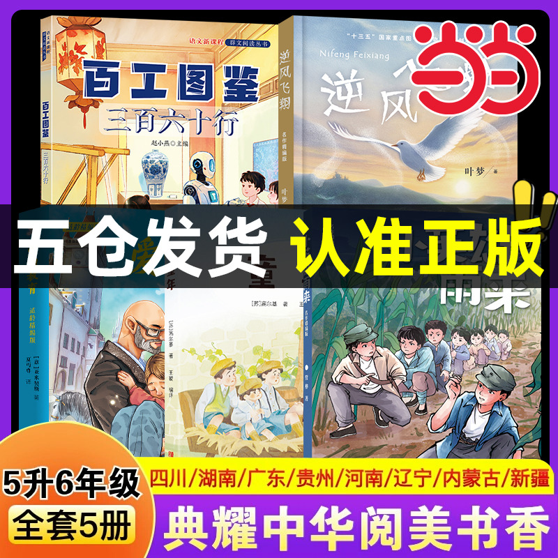 逆风飞翔名作精编版五升六年级