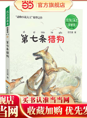 沈石溪画本·注音书系列（第一辑）——第七条猎狗