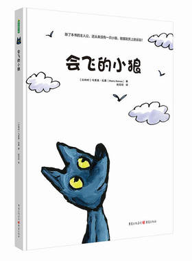 会飞的小狼
