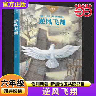当当正版逆风飞翔 叶梦著2025春季语润新疆小学生六年级推荐典耀书香共读书目必读课外阅读书籍湖南少年儿童出版社正版