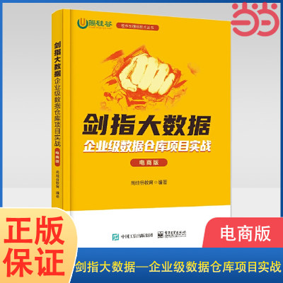 当当网 剑指大数据——企业级数据仓库项目实战（电商版） 尚硅谷教育 电子工业出版社 正版书籍