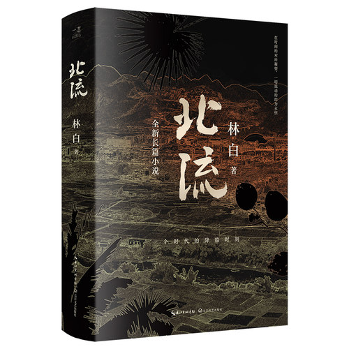 当当网 北流 2022年深圳读书月十大好书。华语文学传媒大奖、老舍文学奖得主林白沉潜八 林白 长江文艺出版社 正版书籍