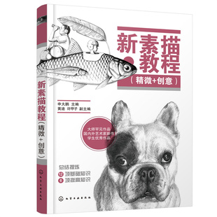 当当网 新素描教程(精微+创意) 申大鹏 化学工业出版社 正版书籍
