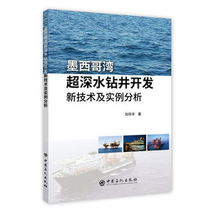 墨西哥湾超深水钻井开发新技术及实例分析.刘环宇9787511451330