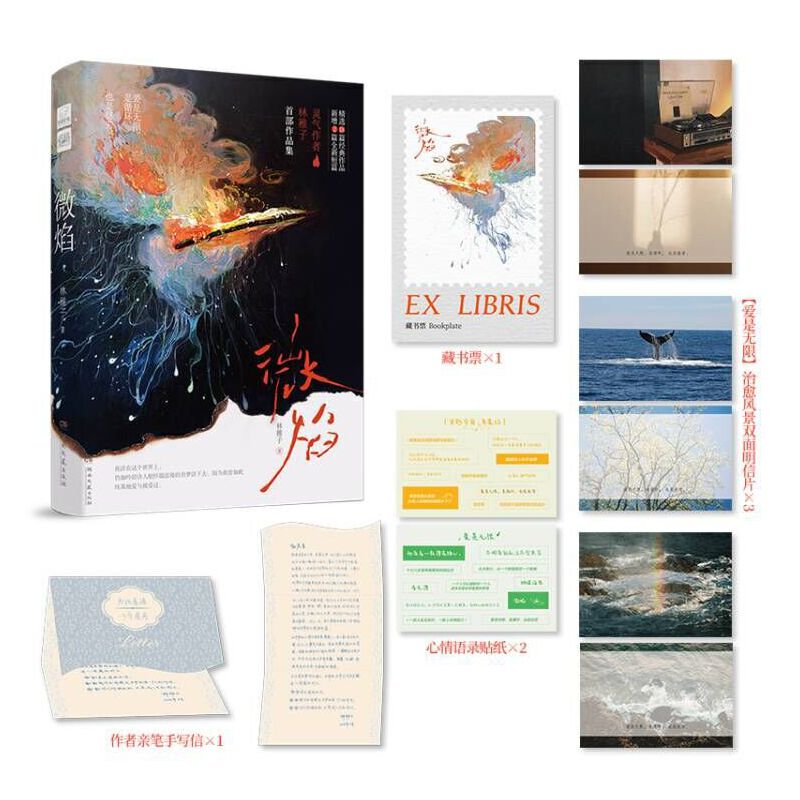 当当网 微焰 林稚子BE美学作品合集 青春里细腻隐秘的爱、遗憾和痛，也仅此一次 青春文学言情小说正版书籍 湖南文艺出版社