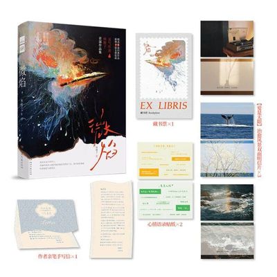 当当网 微焰 林稚子BE美学作品合集 青春里细腻隐秘的爱、遗憾和痛，也仅此一次 青春文学言情小说正版书籍 湖南文艺出版社