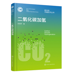 表征与评价方法 碳中和关键技术丛书 CO2加氢催化剂制备 二氧化碳加氢 碳中和领域研究人员CO2资源化利用参考书籍 CO2加氢技术概论