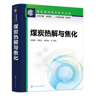 煤炭清洁转化技术丛书 煤炭热解与焦化