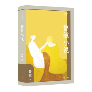 鲁敏小说（作家小说典藏）日常生活里的传奇，人心隐秘的角落，传统中国的温良敦厚，朴素的情感和包容力