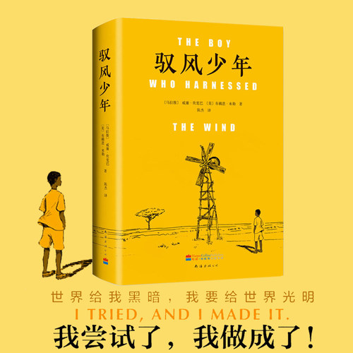 驭风少年新经典小说励志