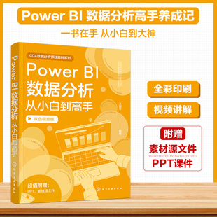 Power BI数据分析从小白到高手 数据分析工具指南 Power BI入门手册 数据集成与处理 数据分析表达式 视觉对象开发 数据分析师手册