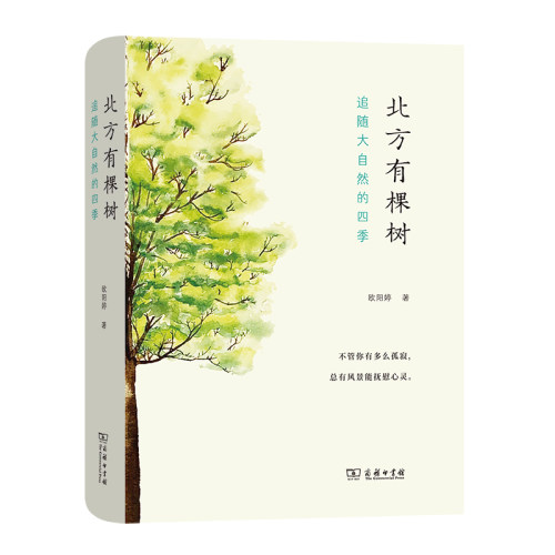 当当网 北方有棵树：追随大自然的四季(自然感悟丛书) 欧阳婷 著 商务印书馆 正版书籍