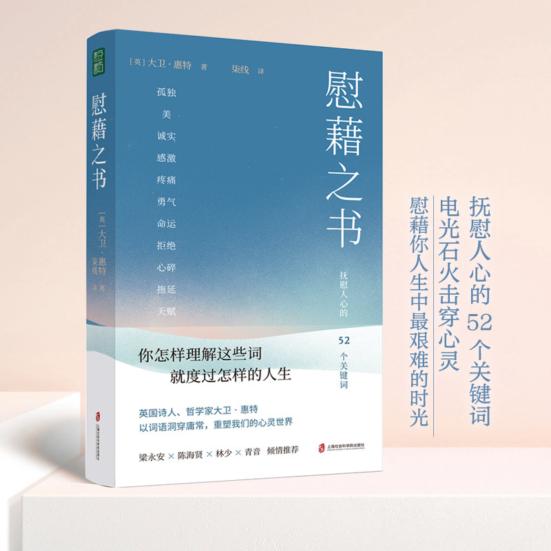 当当网【梁永安/陈海贤等倾情力荐推荐】慰藉之书：抚慰人心的52个关键词 大卫·惠特慰藉你人生中最难的时光上海社会科学院出版社 - 实物图