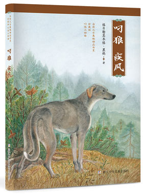 自然之子黑鹤精品书系 珍藏版 叼狼三部曲：叼狼·疾风