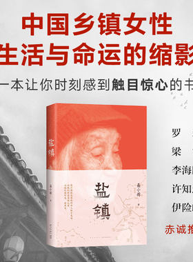 【当当网】 盐镇 易小荷著 深度书写中国乡镇女性的生活与命运的佳作 俞敏洪罗新梁鸿推荐 乡下人的悲歌 杨本芬秋园浮木
