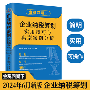 企业纳税筹划实用技巧与典型案例分析