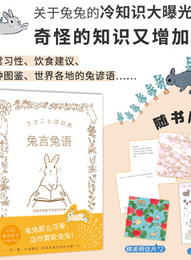 兔言兔语动漫插画兔子治愈