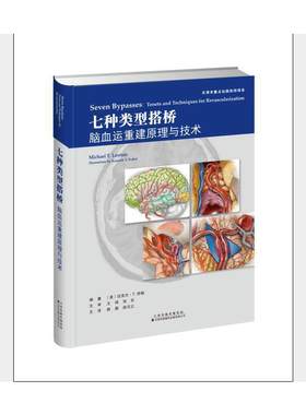 七种类型搭桥：脑血运重建原理与技术