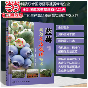 蓝莓高效基质栽培技术 曾其龙 蓝莓基质栽培的现状与发展蓝莓生物学特性 全彩图解蓝莓基质有机栽培 蓝莓专业技术人员科研人员参考