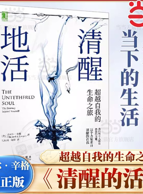 当当网 清醒地活超越自我的生命之旅 迈克尔辛格著冥想大师探索内心认识自我内在能量来源和觉察束缚心灵成长阻碍觉察清醒的自我