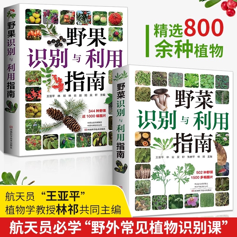 当当网野菜识别与利用指南+野果识别与利用指南全2册王亚平林祁常见野菜野果野外识别速查图鉴植物分类生长习性野菜野果的食用方法