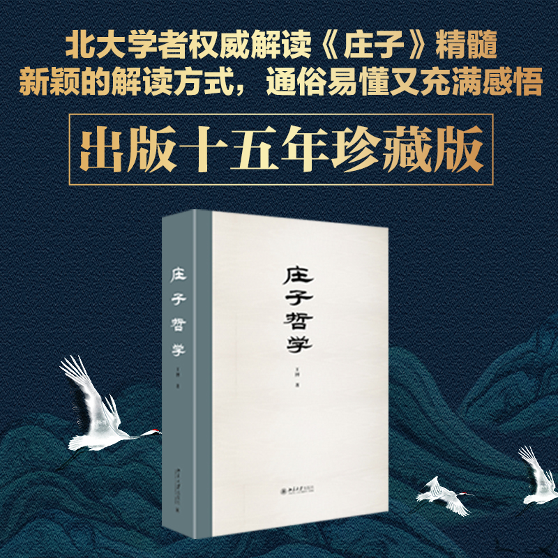 【当当网直营】庄子哲学 王博著 新颖的解读方式 通俗易懂又充满感悟 出版十五年珍藏版 北京大学出版社 正版书籍怎么样,好用不?