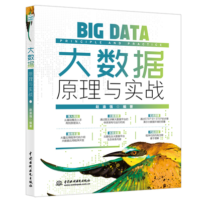 大数据原理与实战当当网