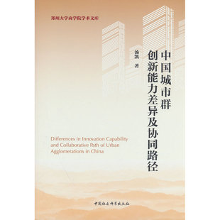 中国城市群创新能力差异及协同路径