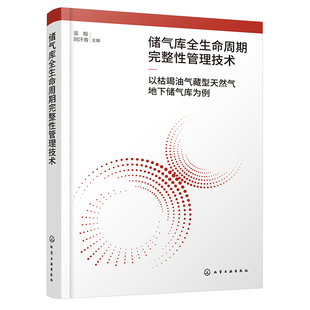 储气库全生命周期完整性管理技术——以枯竭油气藏型天然气地下储气库为例 地下储气库事故统计与分完整性管理体系监测方法参考书