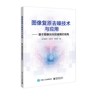 图像复原去噪技术与应用——基于图像块先验建模 视角