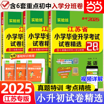 2025江苏省小学毕业试卷精选